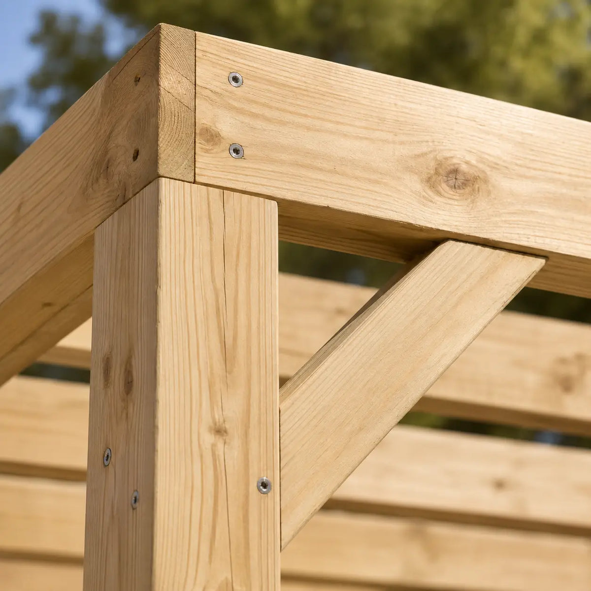 Valentine - Pergola en bois naturel 3x3