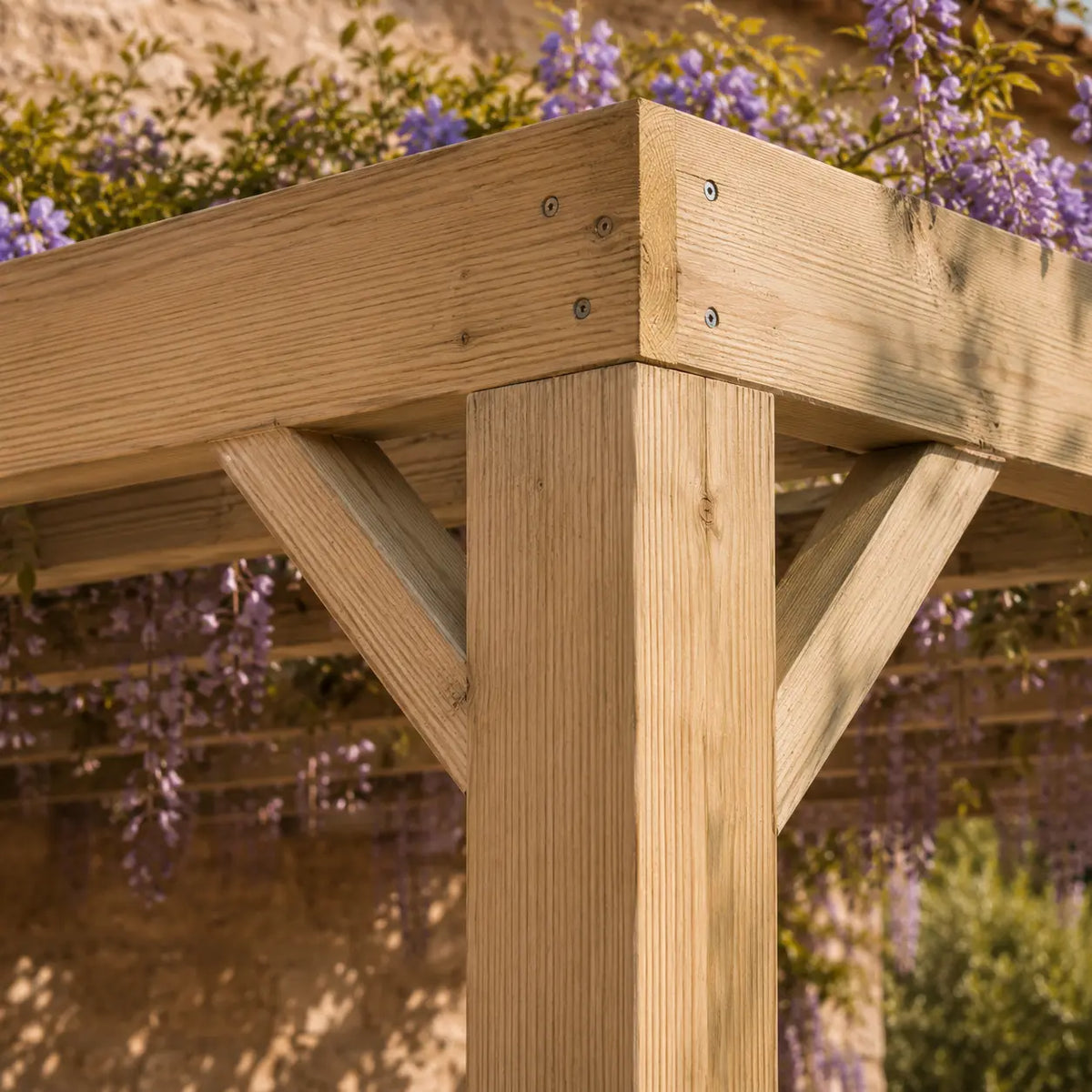 Valentine - Pergola adossée bois 3x4